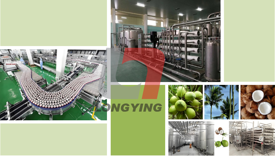 龍應椰子汁生產線